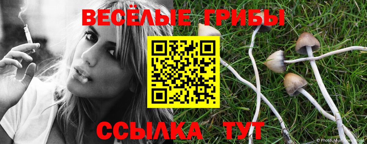 Галлюциногенные грибы прущие грибы  наркошоп  Алушта  Вход с VPN  Галлюциногенные грибы MAGIC MUSHROOMS 